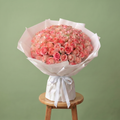 Blush Petals