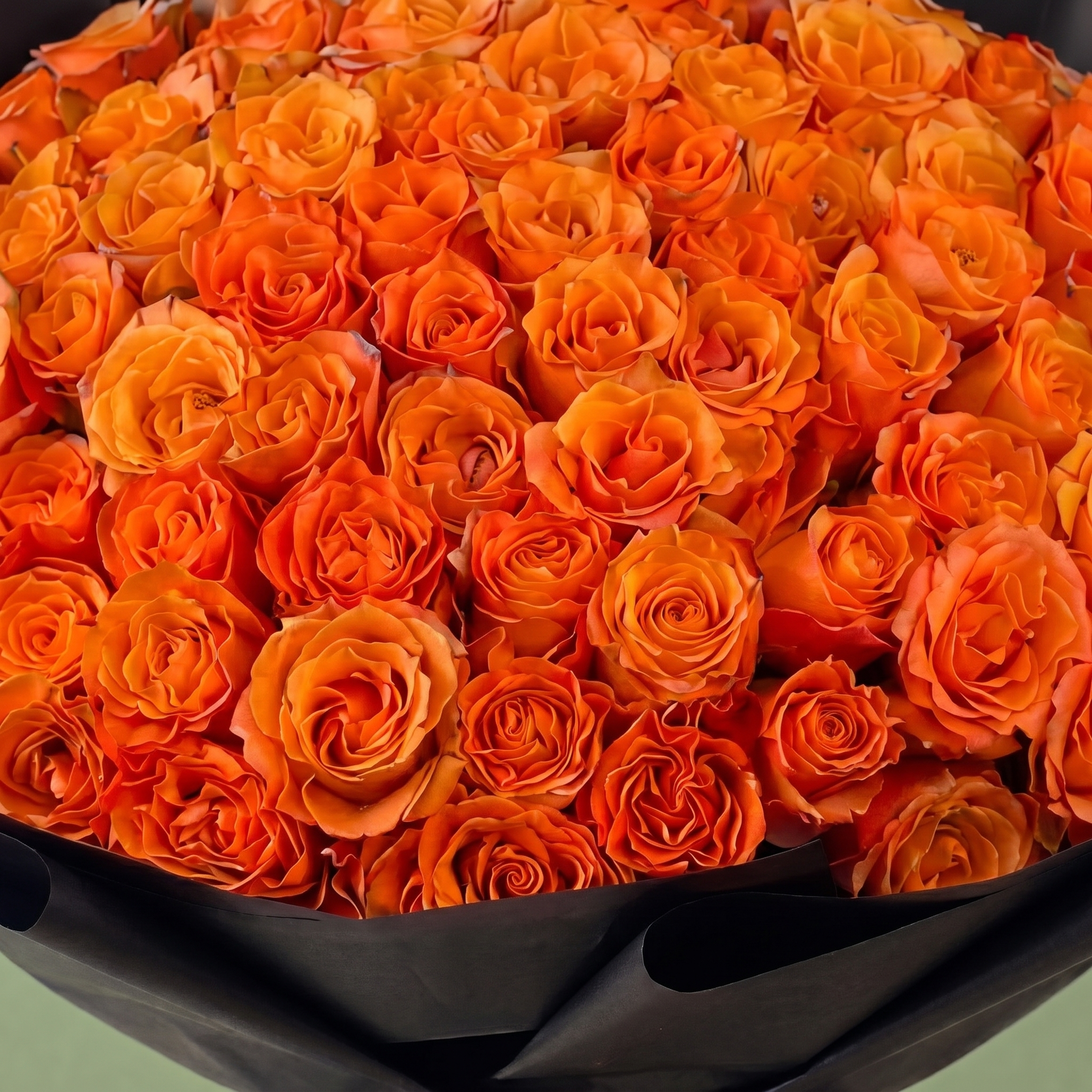 Amber Radiance