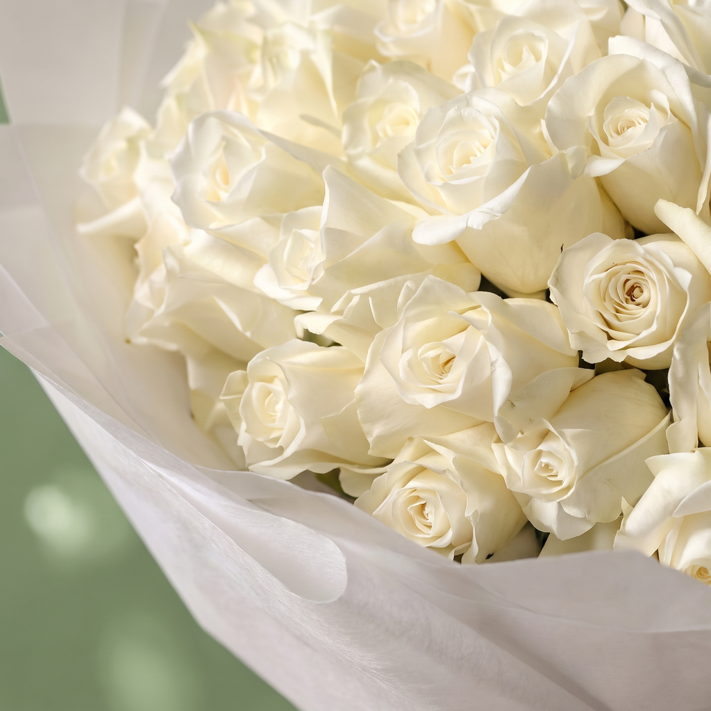 Ivory Elegance
