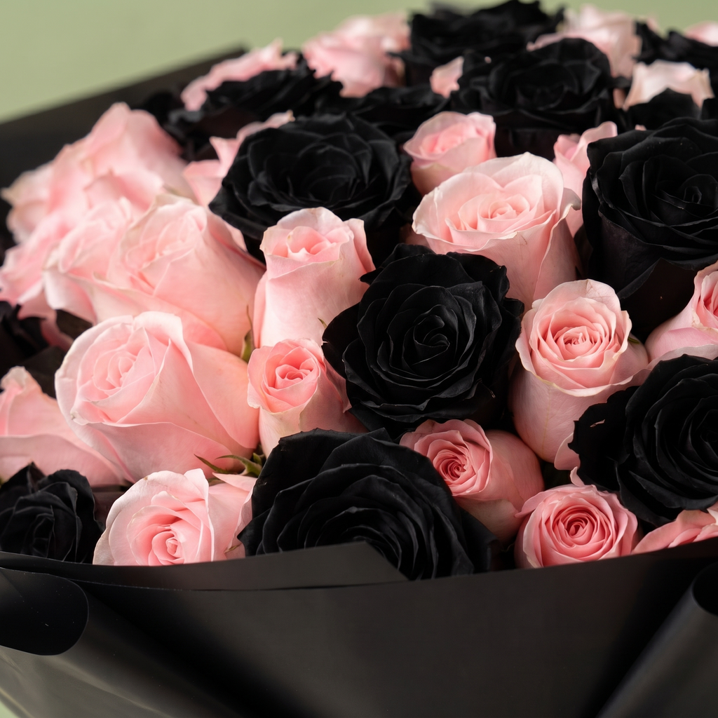 Rosé Noir