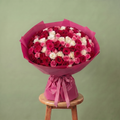 Rose Harmony