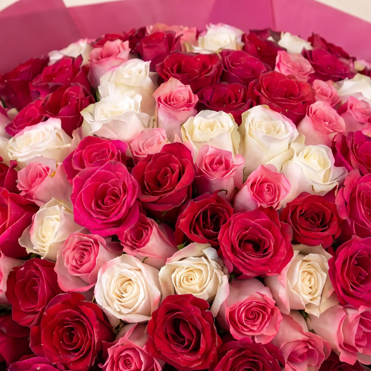 Rose Harmony