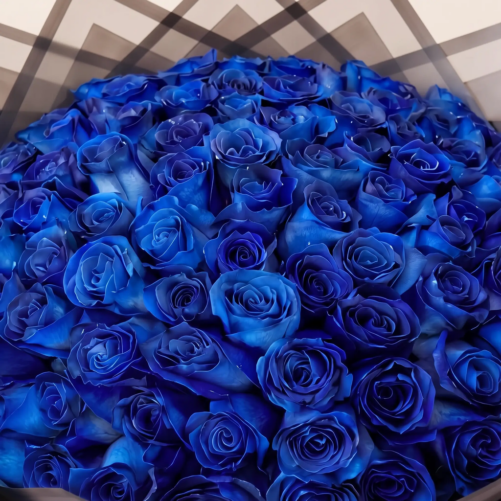 Sapphire Dream