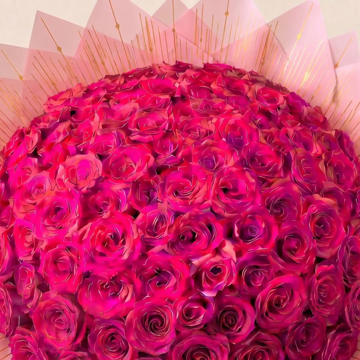 Fuchsia Glow