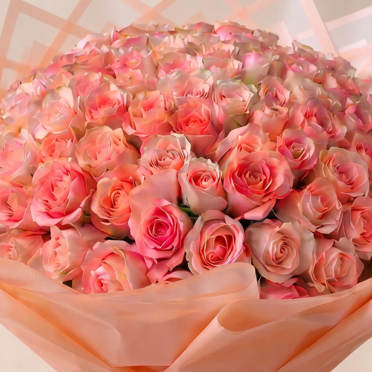 Blush Petals