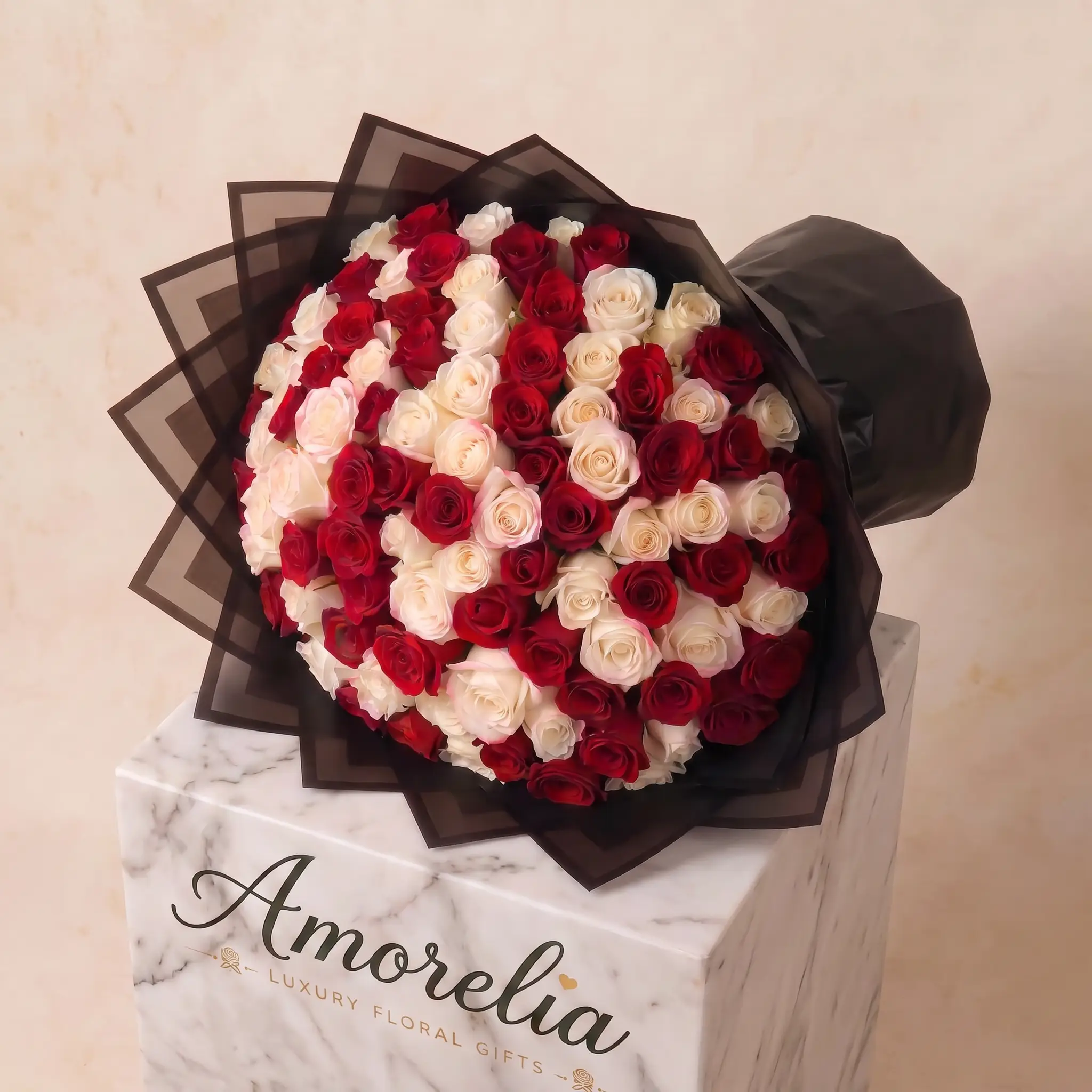 Crimson & Ivory