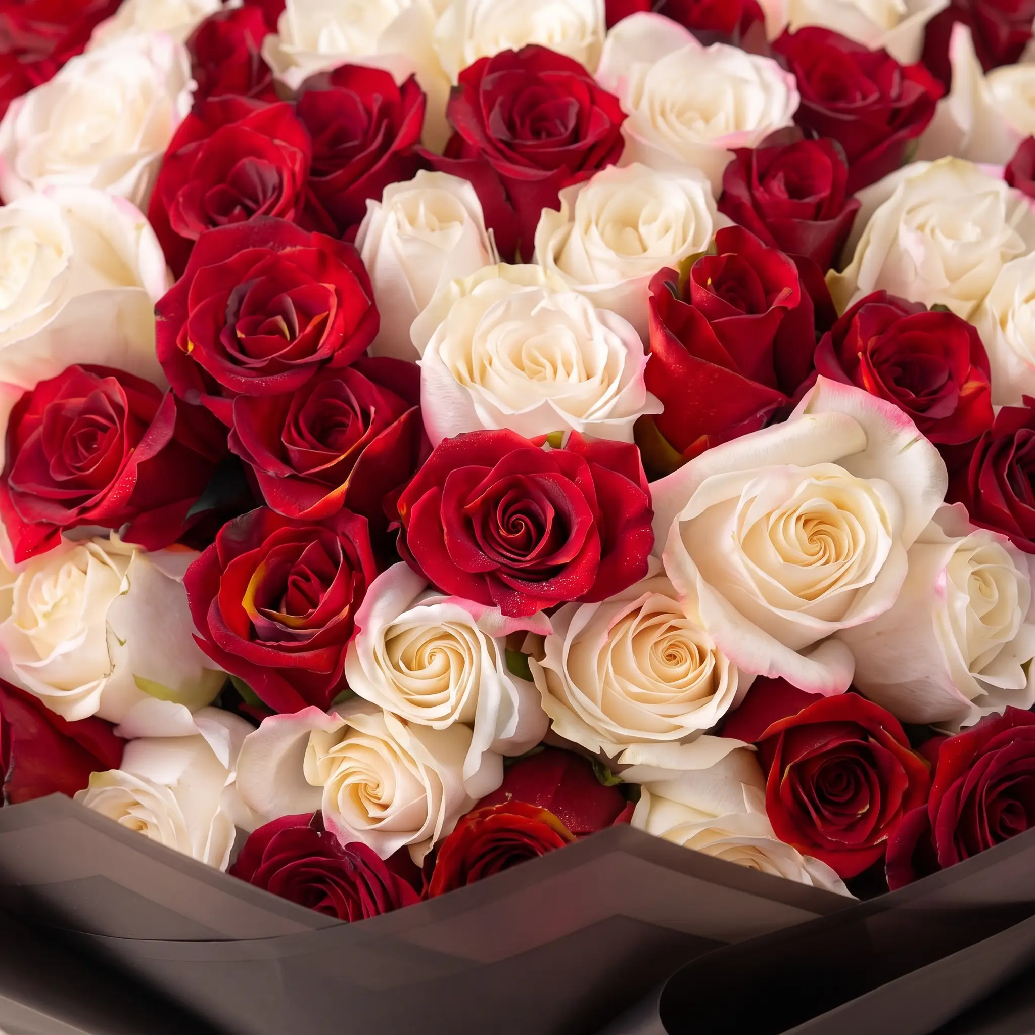 Crimson & Ivory