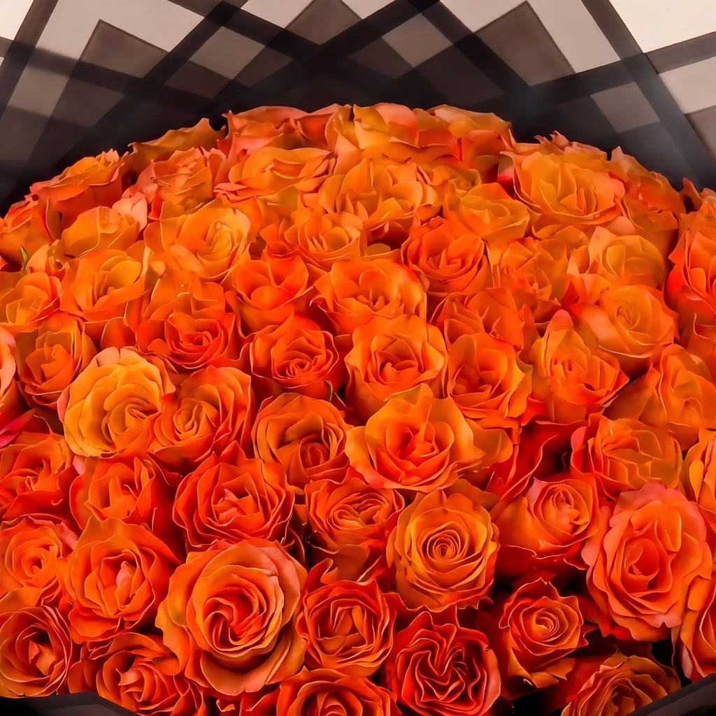 Amber Radiance