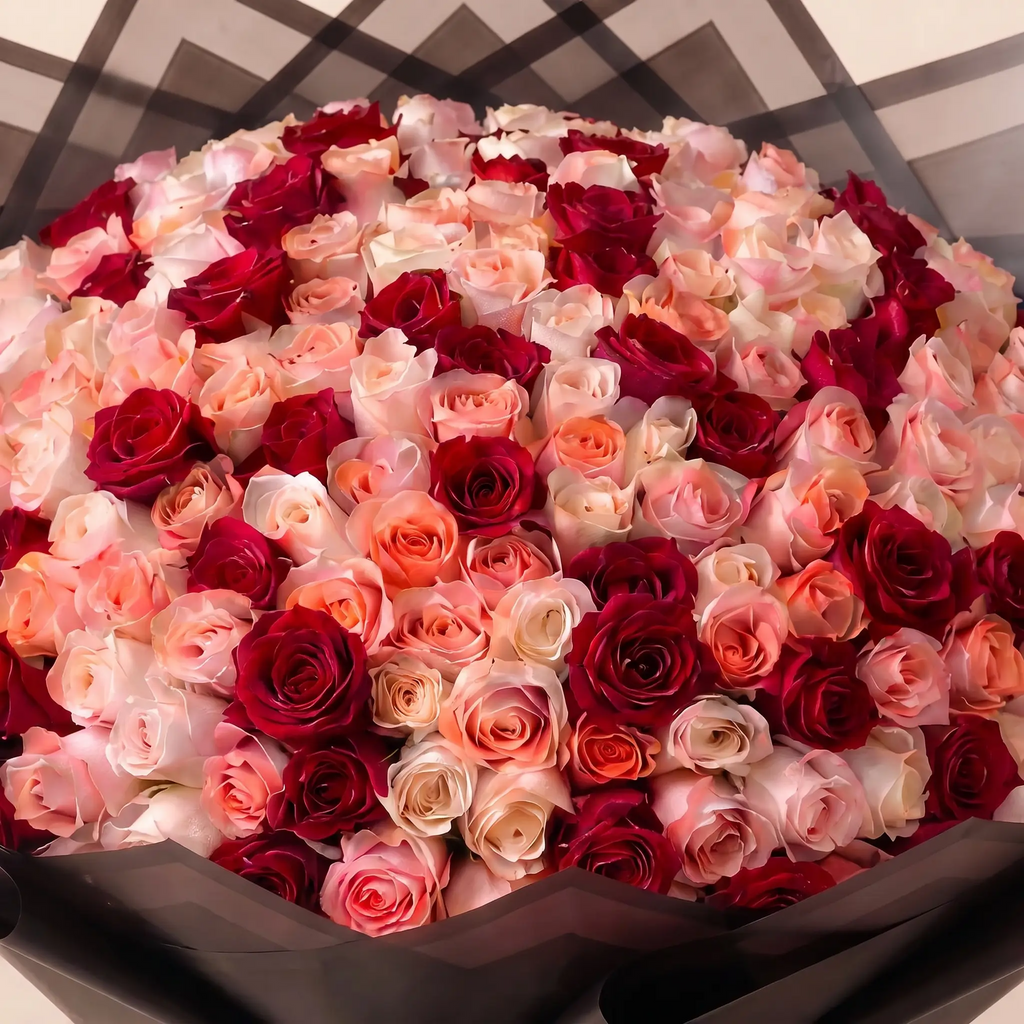 Timeless Romance